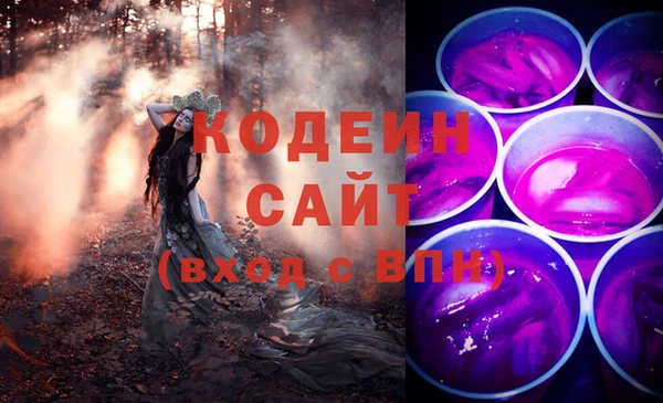 индика Вязьма