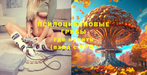 стаф Волосово