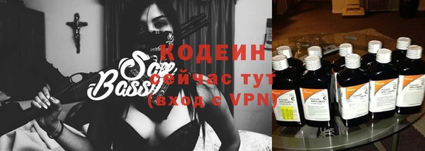 эйфоретик Бородино