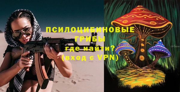 ПСИЛОЦИБИНОВЫЕ ГРИБЫ Володарск