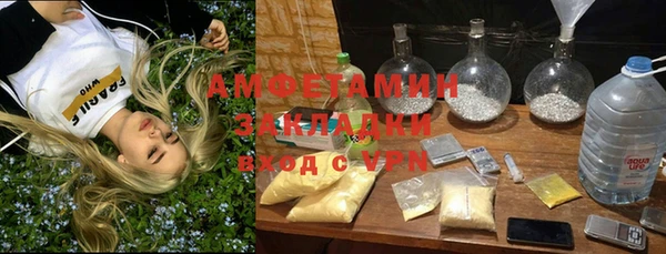 индика Вязьма