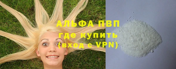стаф Волосово