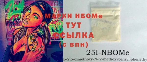 индика Вязьма