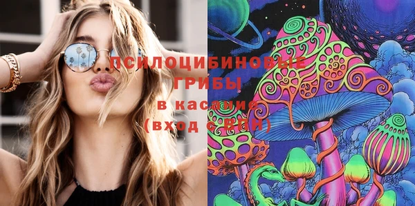 круглые Бронницы